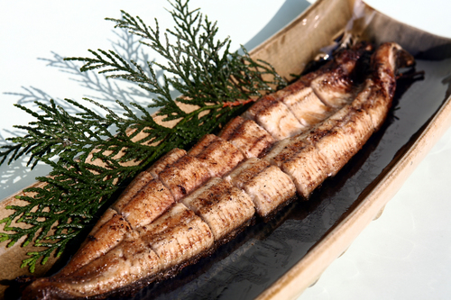 鰻の白焼き