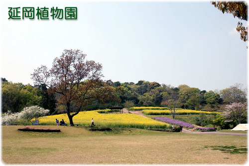 植物園全景