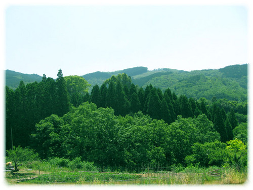 美々地の風景