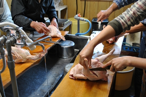 DSC_0276.jpg