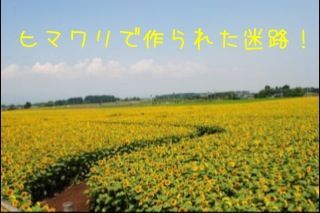 q}ōꂽHI.jpeg