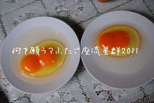 肤AӂQ2011.jpg
