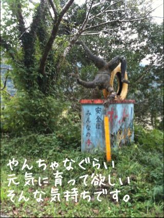 ʐ^ 11-09-28 19 25 22.jpeg