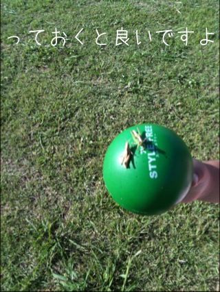 ʐ^ 11-09-30 20 28 21.jpeg