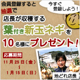 banner-shintamanegi.jpg