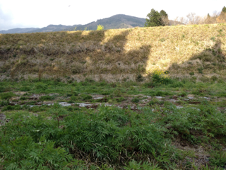image-20120407092452.png