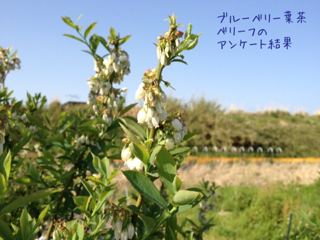 image-20120412201529.png
