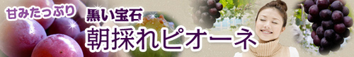 sI[loi[.jpg