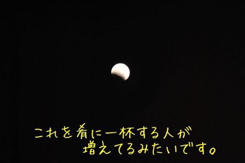 ʐ^ 11-12-12 19 23 24.jpg