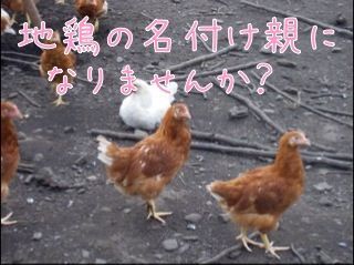 n{̖teɂȂ܂񂩁H .jpeg