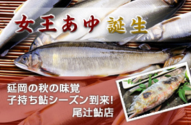banner-top225-otuji-komochiayu.jpg